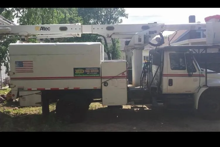 Affordable lawn care service experts serving Providence, RI - ED Professional Tree Service