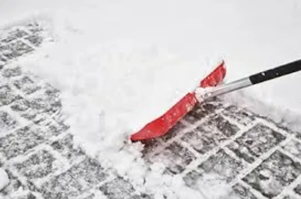 Custom landscape installation in Lino Lakes, MN by E&D Services