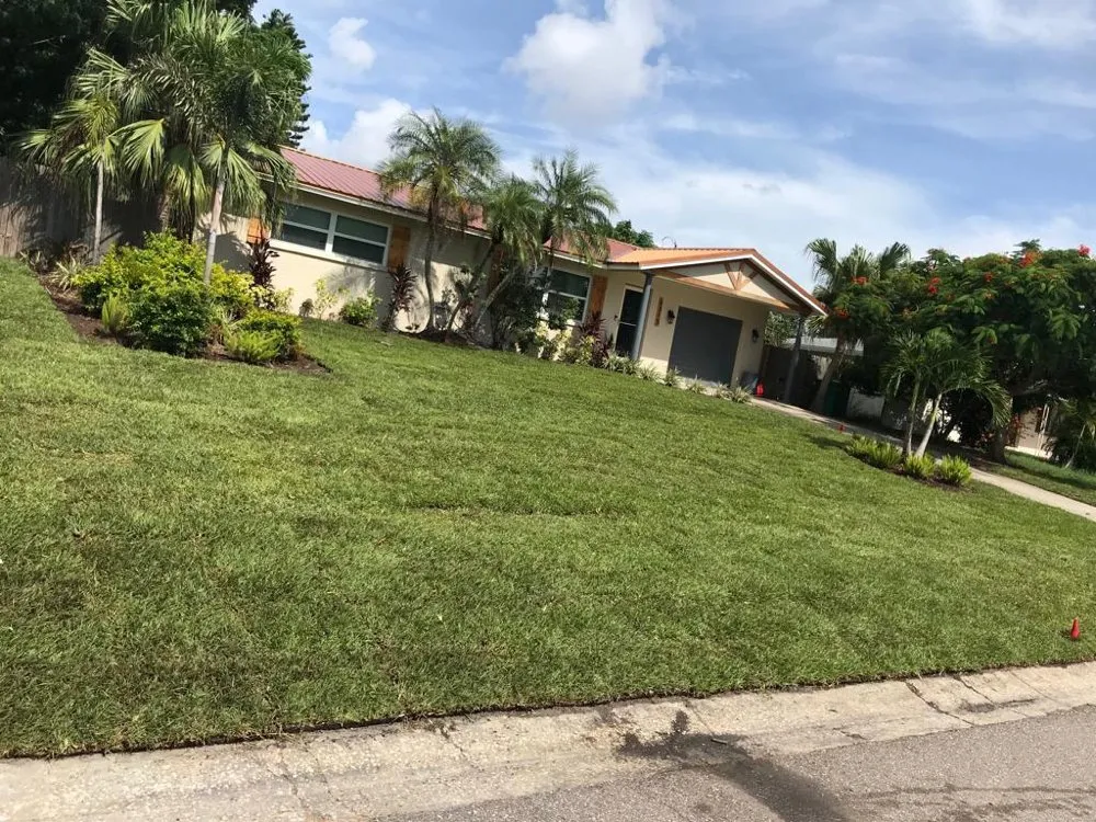 Affordable residential landscaping experts serving saint petersburg, FL - EDA Lawn Services