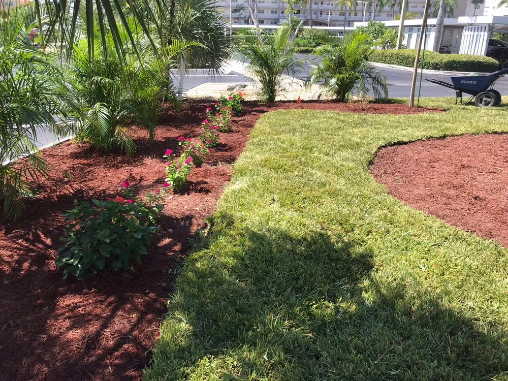 Trusted yard maintenance in saint petersburg, FL by EDA Lawn Services