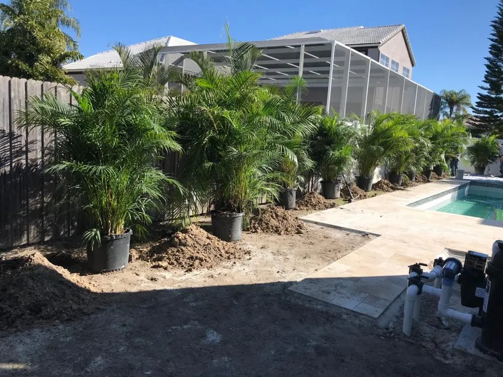 Expert yard maintenance in saint petersburg, FL - EDA Lawn Services