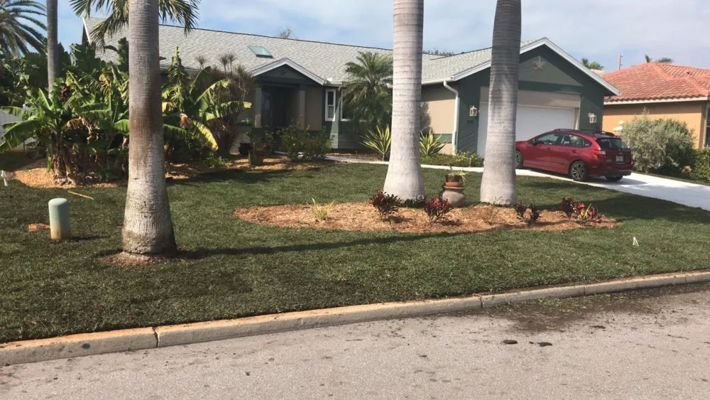 Professional landscaping services for outdoor upgrades across saint petersburg, FL - EDA Lawn Services