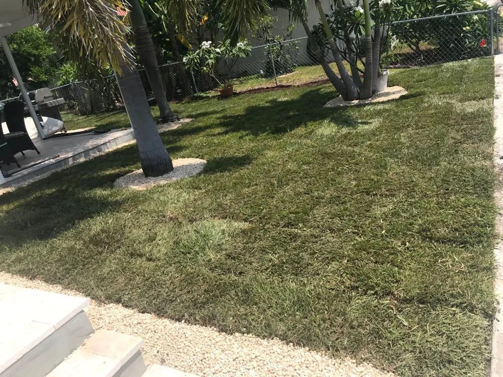 Top-rated landscape installation in saint petersburg, FL by EDA Lawn Services