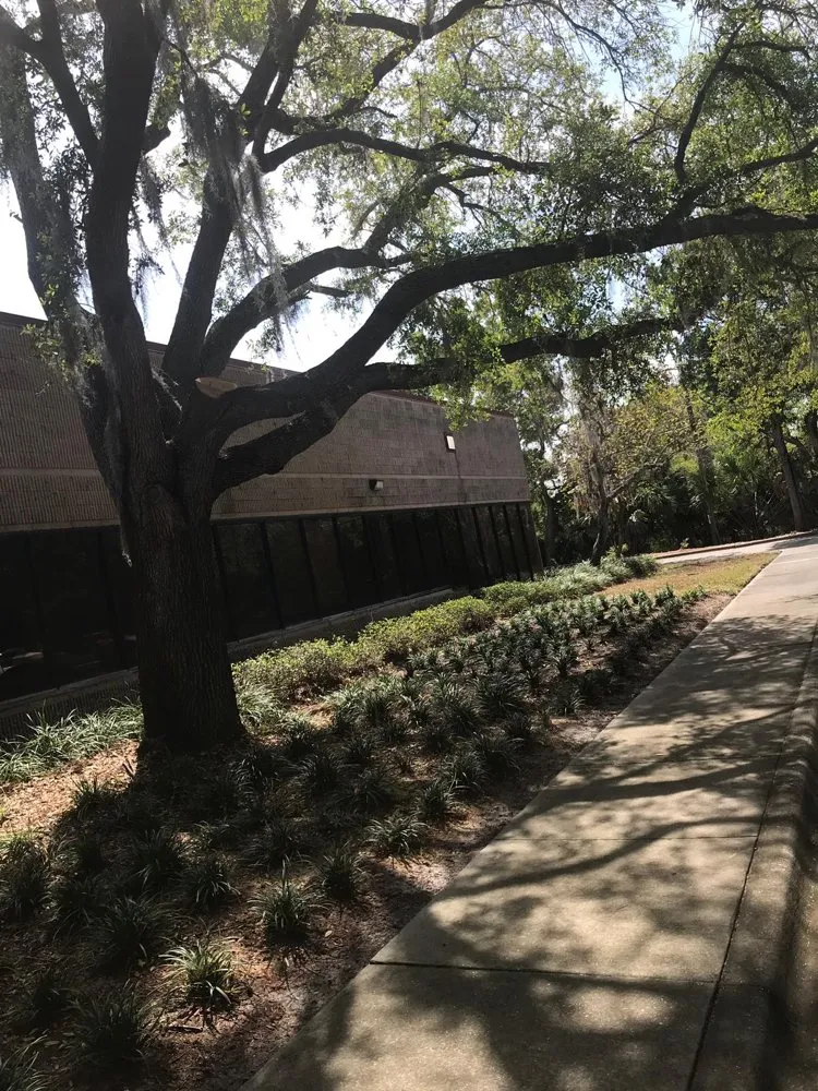 Reliable residential landscaping for residential properties across saint petersburg, FL - EDA Lawn Services