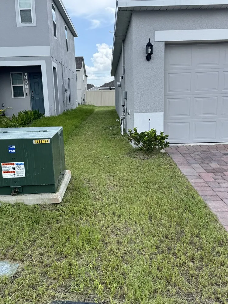 Top-rated residential landscaping in Davenport, FL - Edamis Landscaping