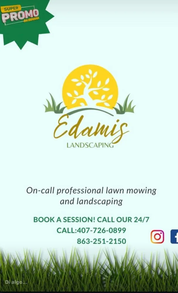 Affordable lawn mowing service for residential properties in Davenport, FL by Edamis Landscaping