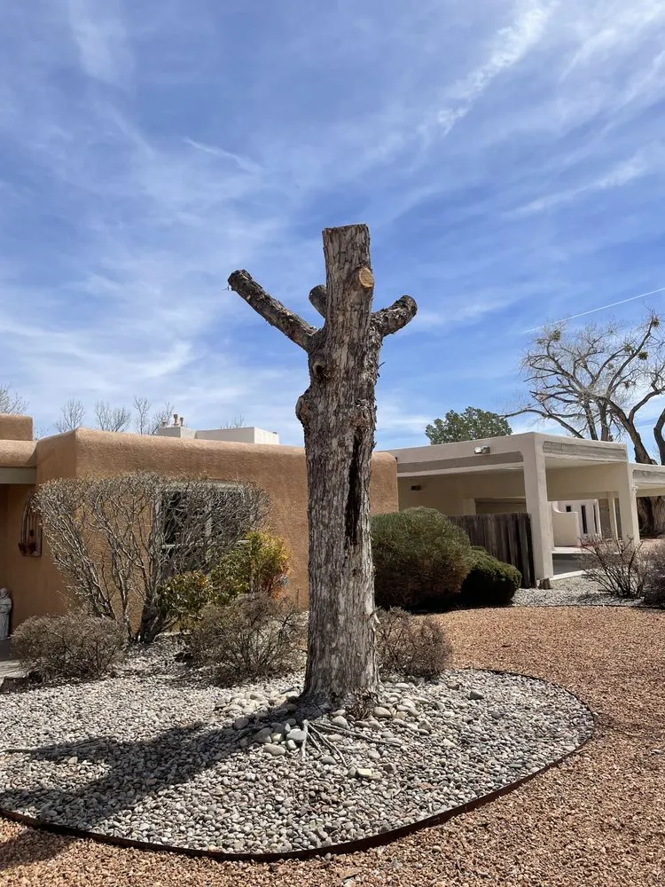 Local lawn care service experts serving Albuquerque, NM - EDC Landscape