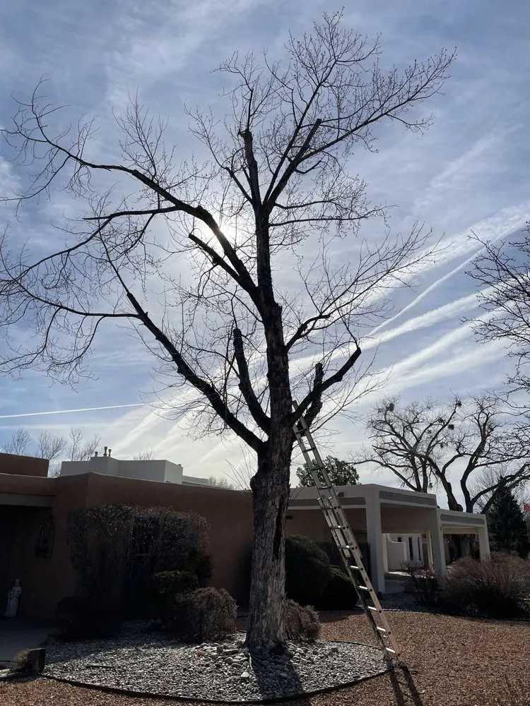 Professional garden landscaping experts serving Albuquerque, NM - EDC Landscape