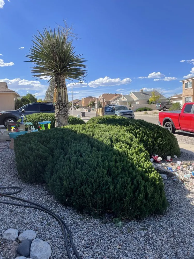 Expert lawn care service in Albuquerque, NM - EDC Landscape