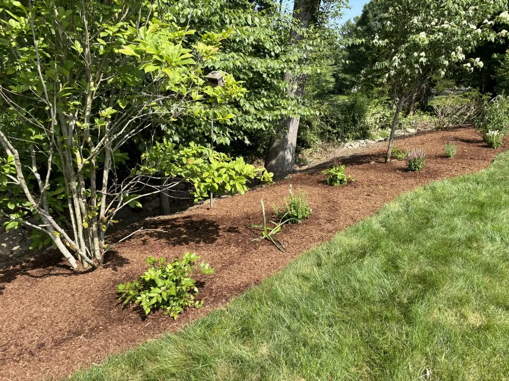 Reliable lawn care service experts serving Norwalk, CT - Eddie & Partners