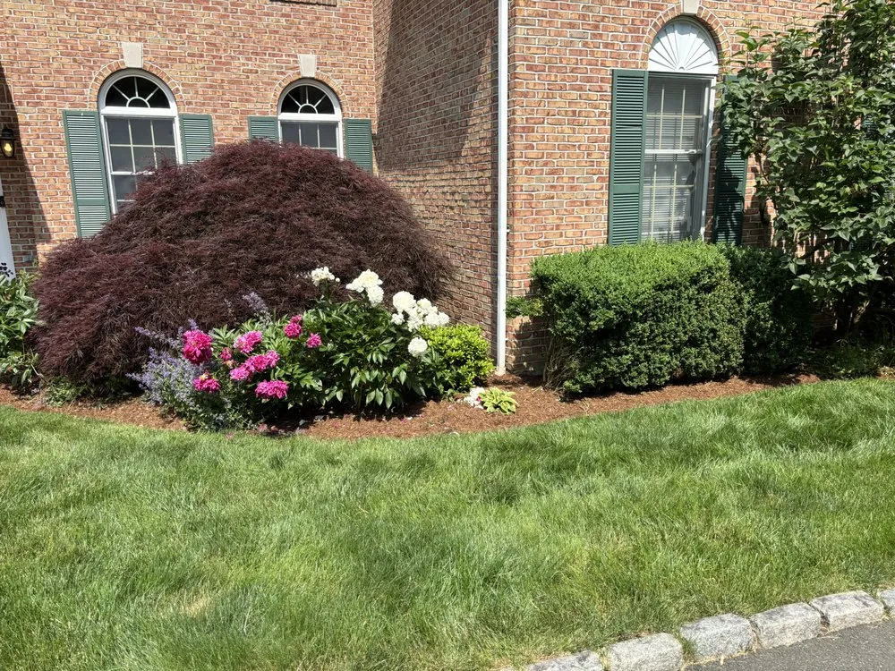 Trusted landscape installation in Norwalk, CT by Eddie & Partners