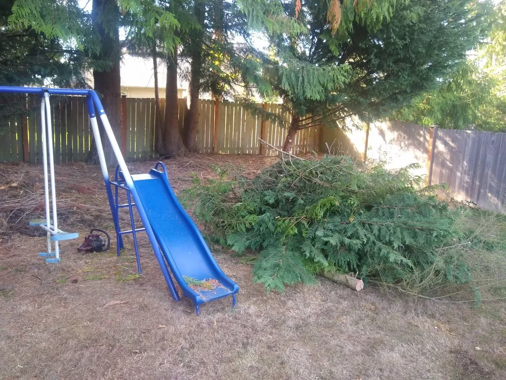 Reliable yard maintenance in Sedro-Woolley, WA - Eddie Gilseth