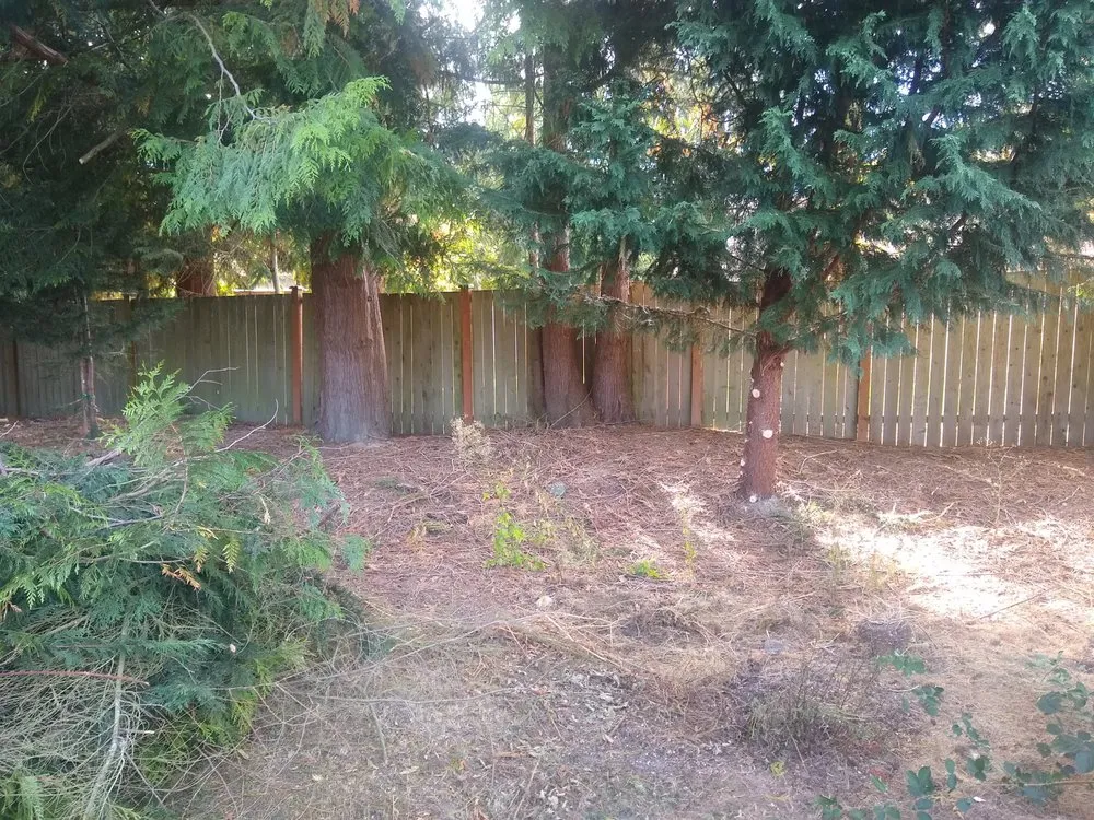 Professional landscape installation with custom design across Sedro-Woolley, WA - Eddie Gilseth
