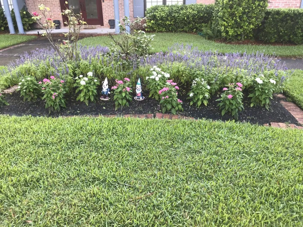 Professional lawn care service in Jacksonville, FL by Eddie Group