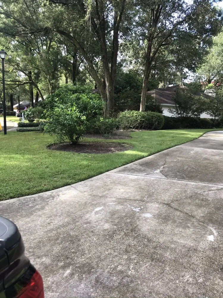Reliable residential landscaping experts serving Jacksonville, FL - Eddie Group