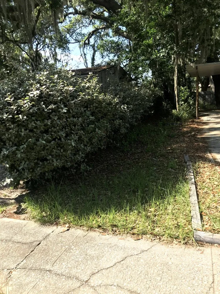 Top-rated landscape design in Jacksonville, FL - Eddie Group