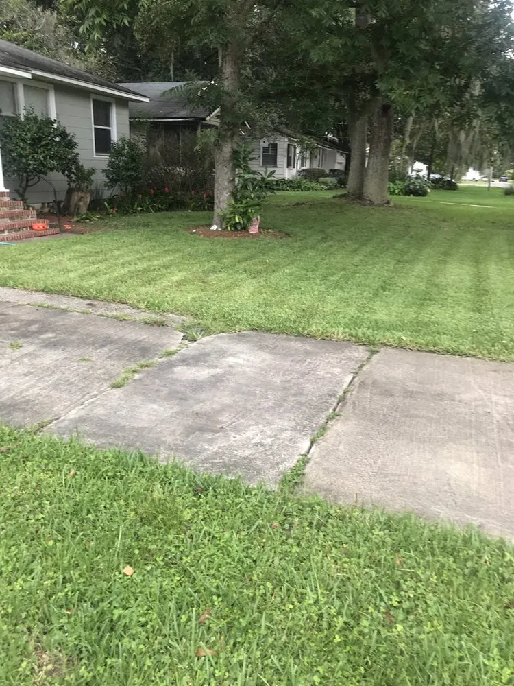 Affordable lawn care service for year-round maintenance in Jacksonville, FL by Eddie Group