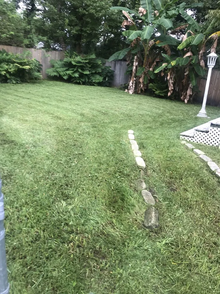 Affordable lawn mowing service in Jacksonville, FL - Eddie Group