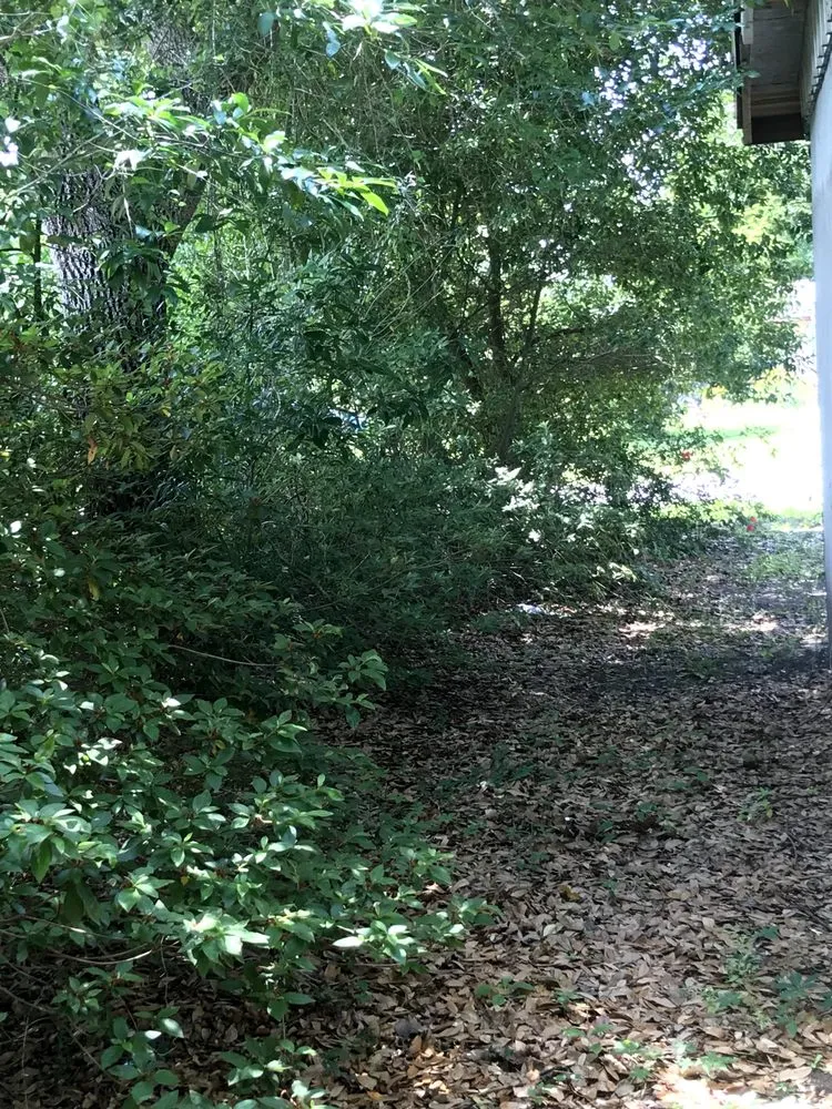 Reliable lawn care service for outdoor upgrades in Jacksonville, FL by Eddie Group