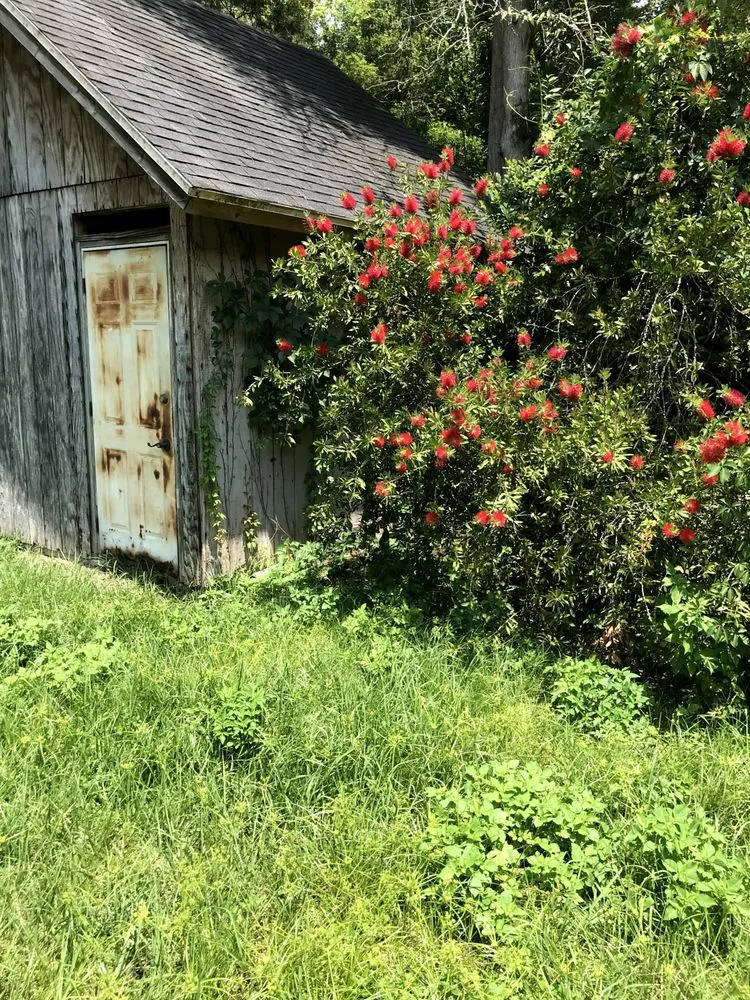 Expert landscape design for year-round maintenance across Jacksonville, FL - Eddie Group