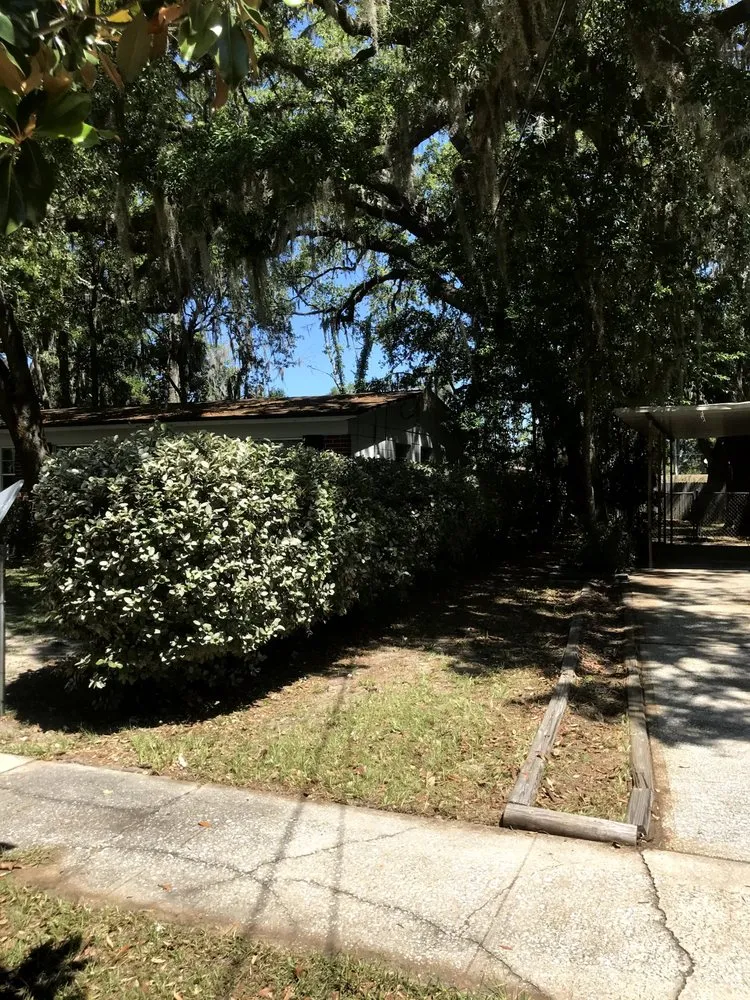 Trusted residential landscaping in Jacksonville, FL - Eddie Group