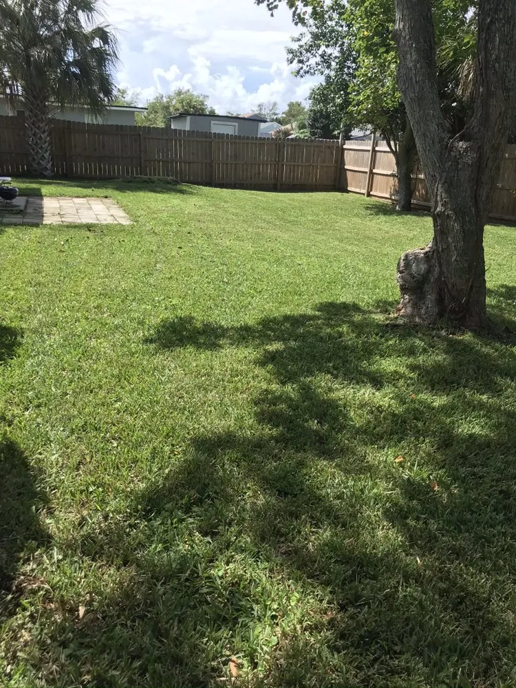 Custom landscape design with custom design in Jacksonville, FL by Eddie Group