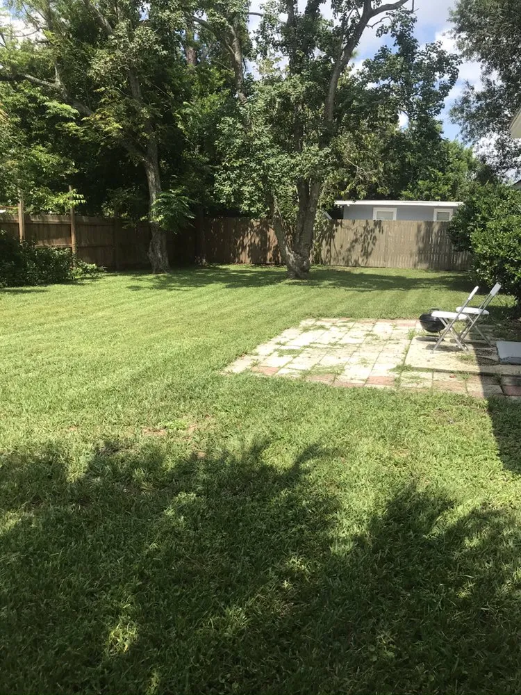 Professional lawn care service in Jacksonville, FL - Eddie Group