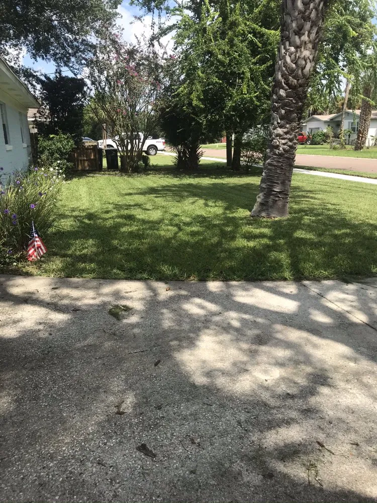 Local yard cleanup service in Jacksonville, FL by Eddie Group