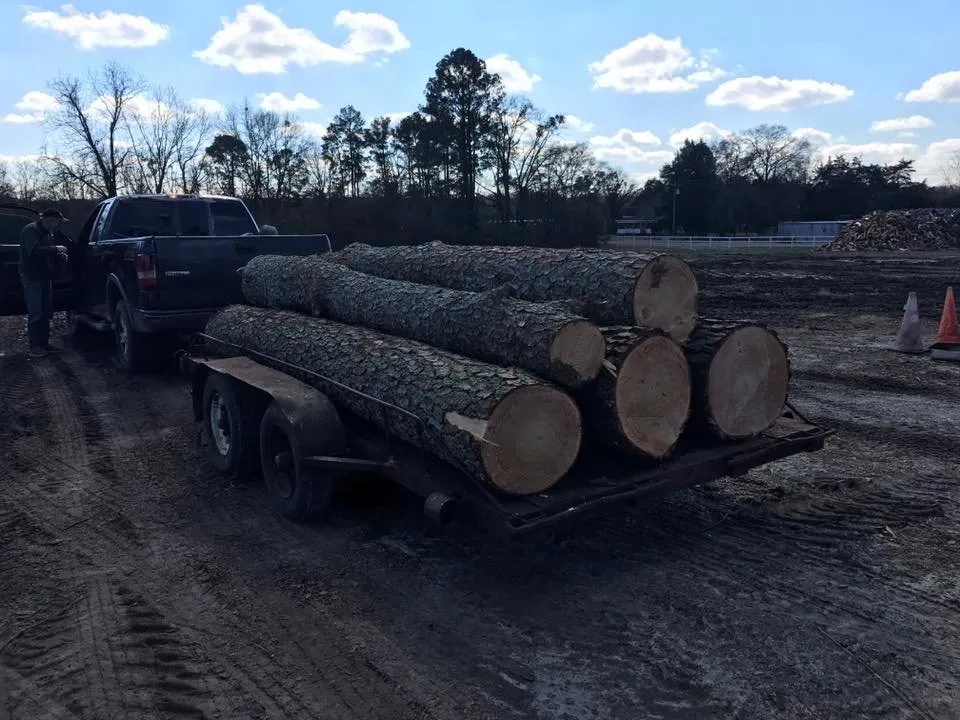 Trusted landscape design near you in Goldsboro, NC by Eddie Hinson Tree Pros