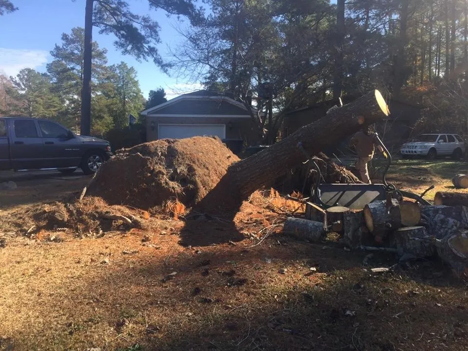 Affordable garden landscaping experts serving Goldsboro, NC - Eddie Hinson Tree Pros