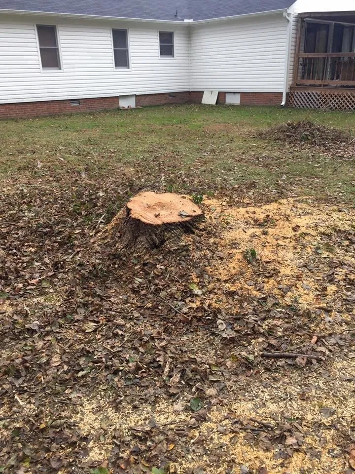 Expert yard maintenance in Goldsboro, NC - Eddie Hinson Tree Pros