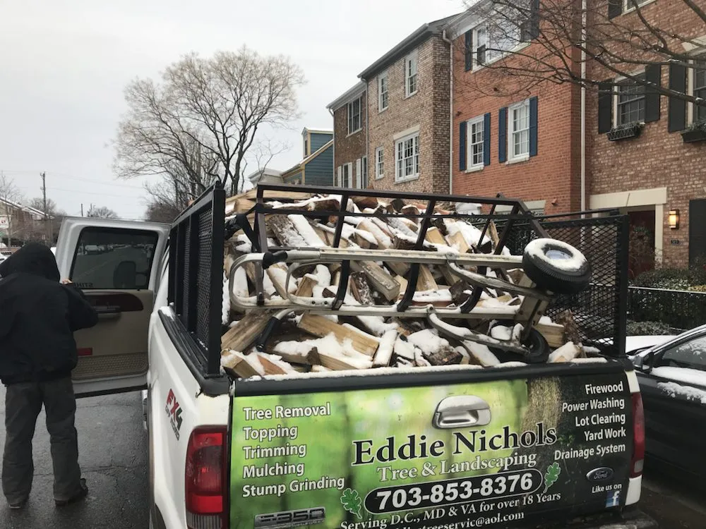 Professional yard cleanup service for residential properties across Reva, VA - Eddie Nichols Tree & Landscaping
