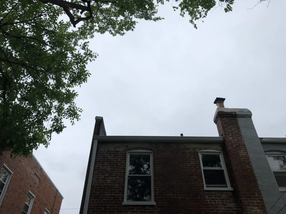 Local landscape installation for beautiful yards across Reva, VA - Eddie Nichols Tree & Landscaping