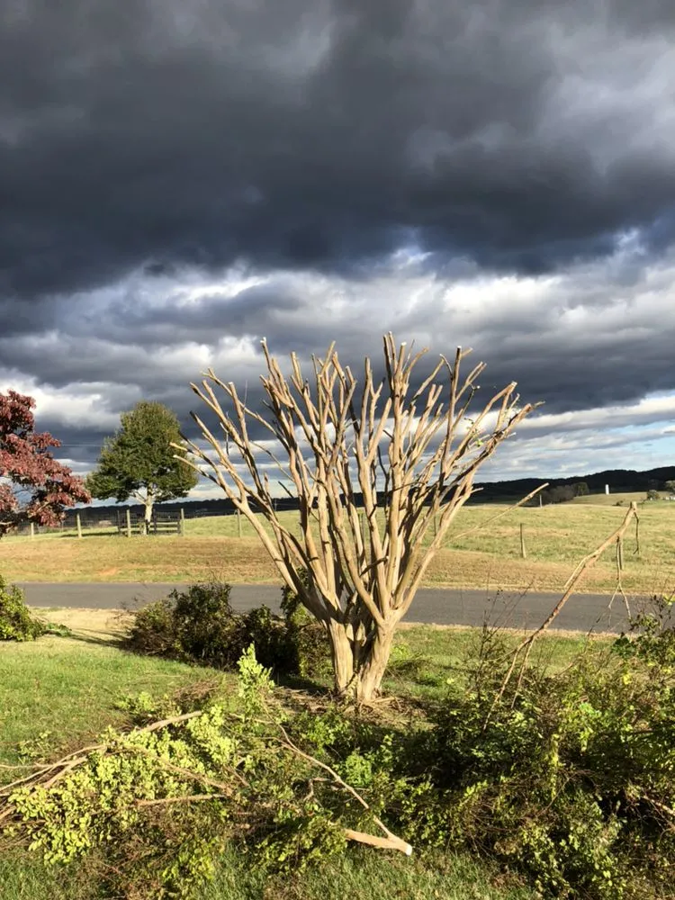 Affordable landscape design for beautiful yards in Reva, VA by Eddie Nichols Tree & Landscaping