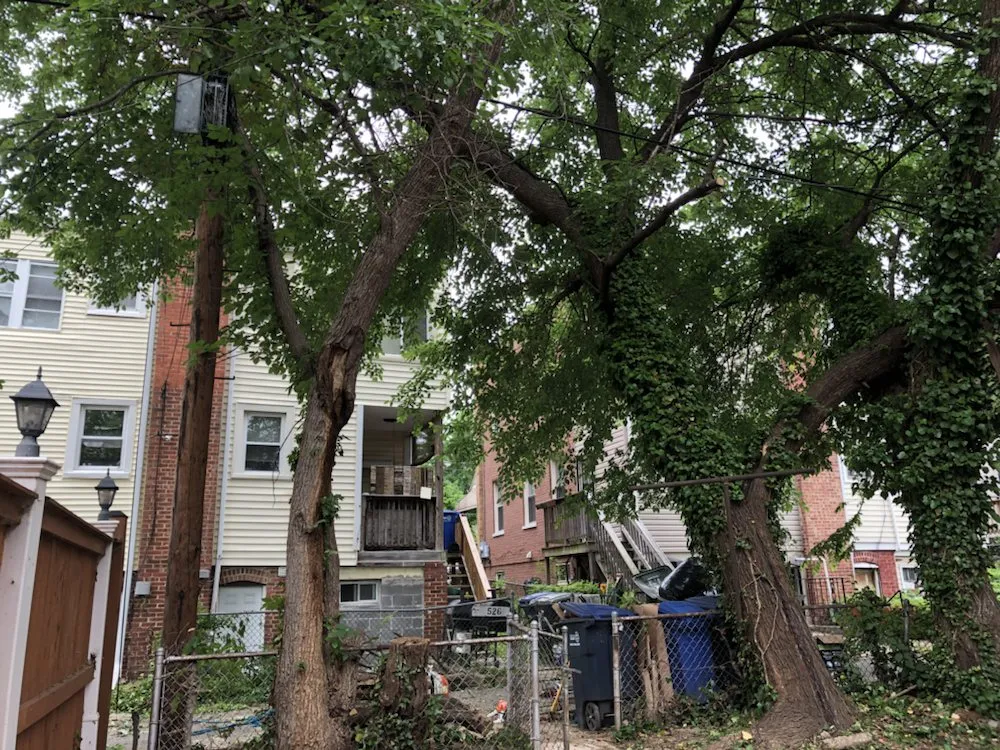 Top-rated outdoor landscaping with custom design across Reva, VA - Eddie Nichols Tree & Landscaping