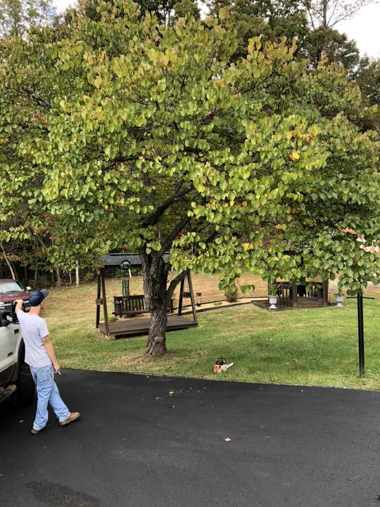 Expert residential landscaping for outdoor upgrades in Reva, VA by Eddie Nichols Tree & Landscaping