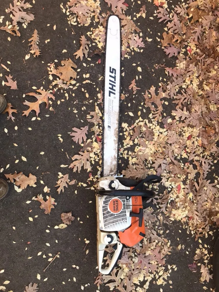 Trusted yard cleanup service in Reva, VA by Eddie Nichols Tree & Landscaping