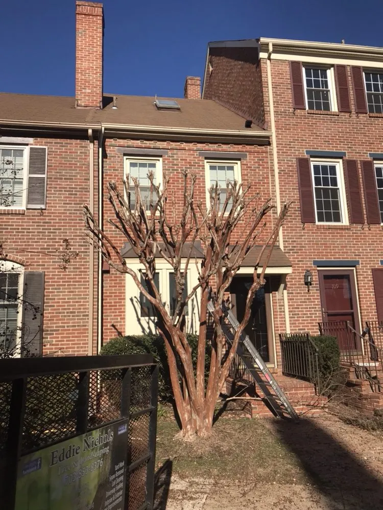 Local landscape installation for outdoor upgrades across Reva, VA - Eddie Nichols Tree & Landscaping