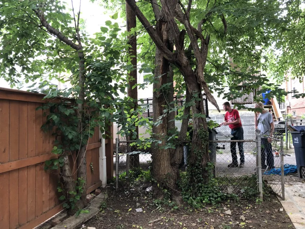 Affordable landscape design experts serving Reva, VA - Eddie Nichols Tree & Landscaping