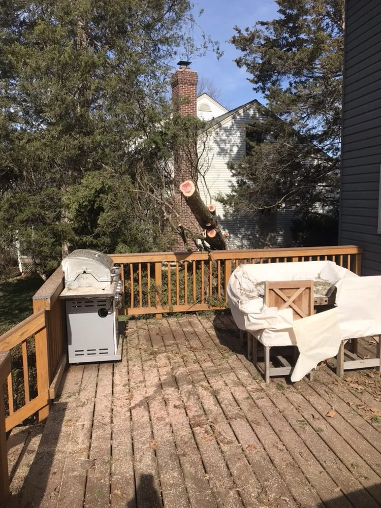 Expert outdoor landscaping in Reva, VA by Eddie Nichols Tree & Landscaping