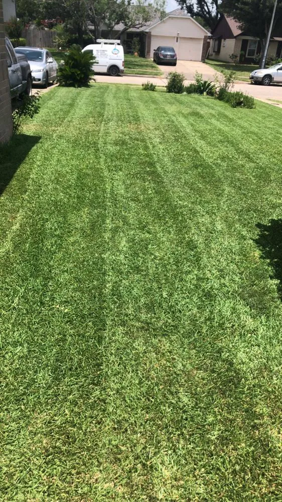 Reliable lawn mowing service in La Porte, TX by Eddie Villarreal