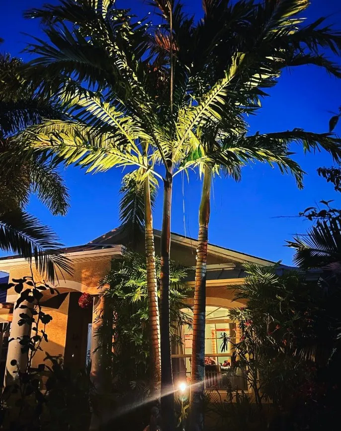 Top-rated yard cleanup service in Port St. Lucie, FL - Eddie’s Creations