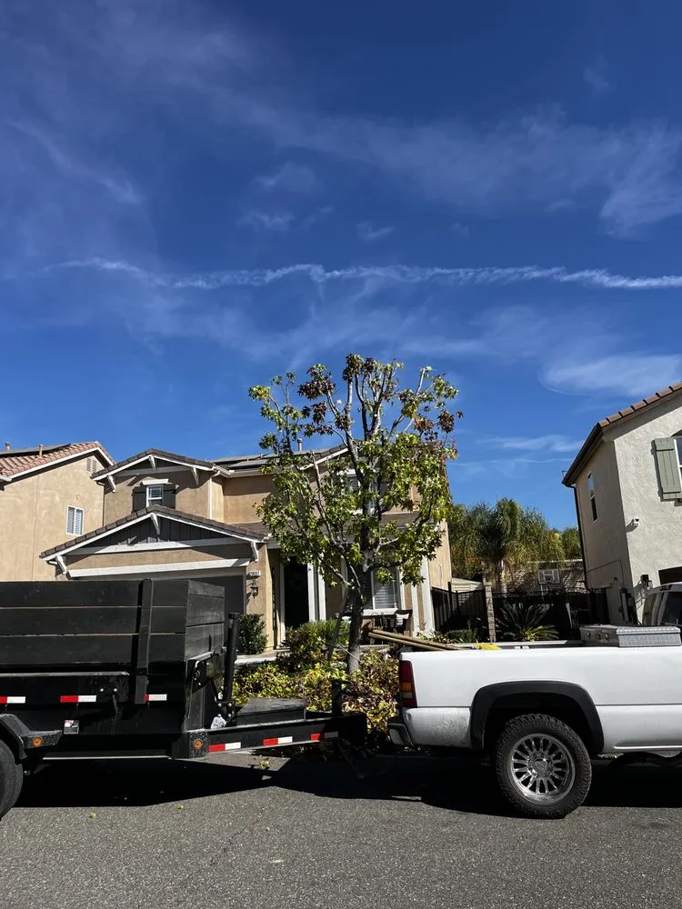 Reliable lawn care service in Sylmar, CA - Eddie’s Landscaping And Tree Service