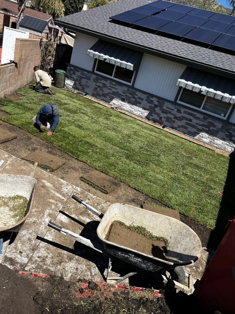 Local yard maintenance for year-round maintenance in Sylmar, CA by Eddie’s Landscaping And Tree Service