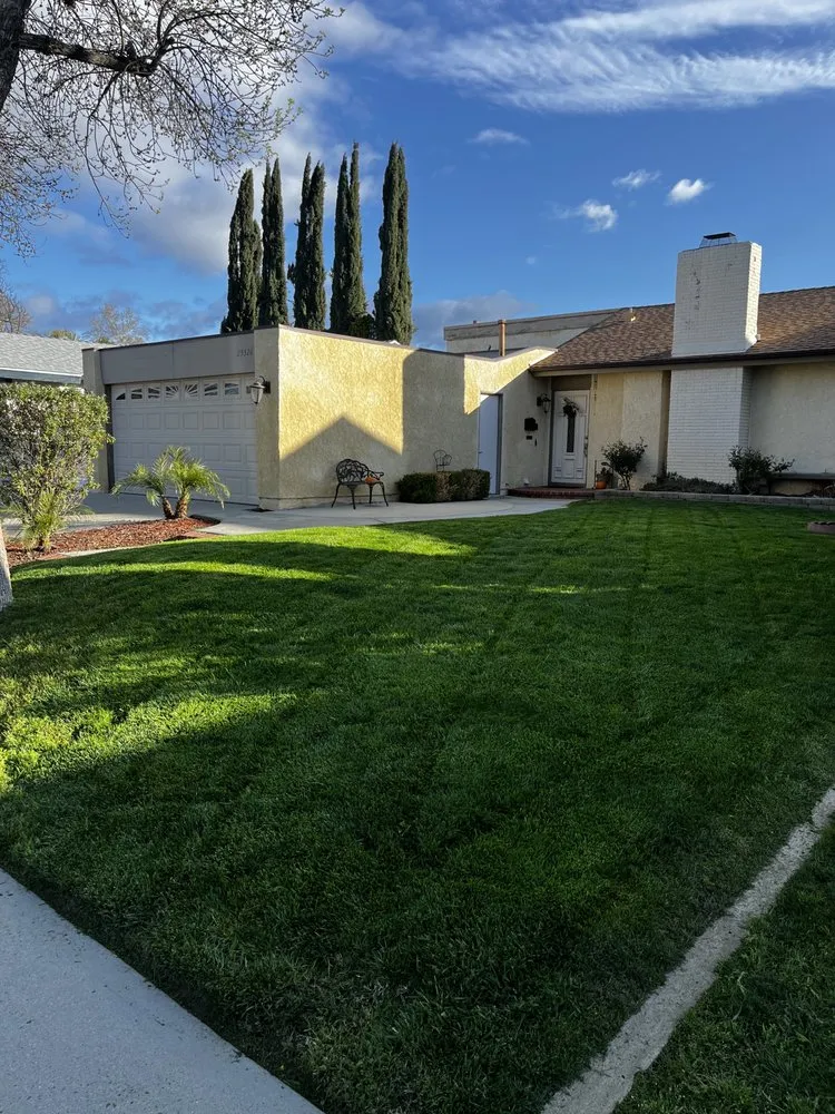 Expert yard cleanup service experts serving Sylmar, CA - Eddie’s Landscaping And Tree Service