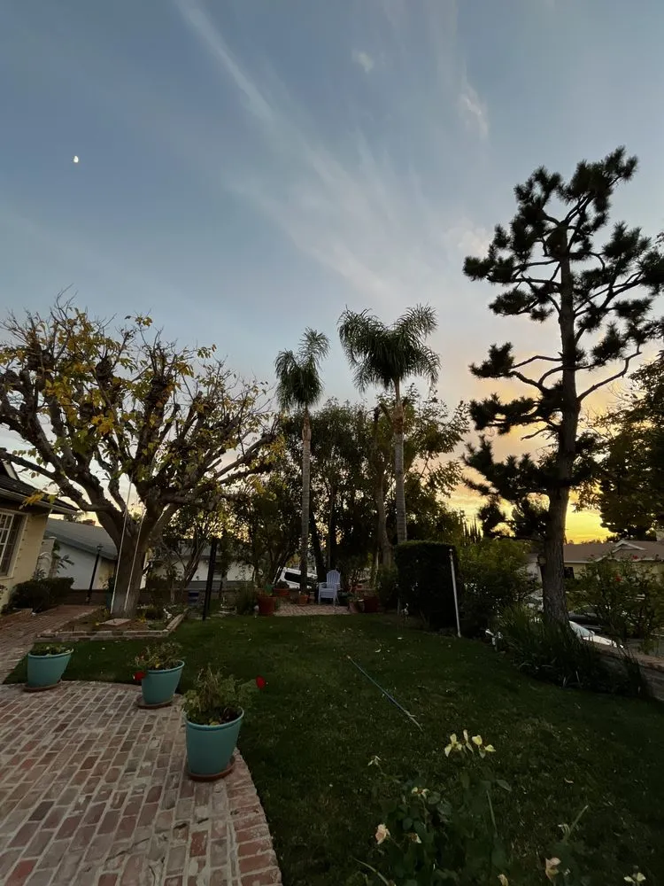 Local landscaping services in Sylmar, CA - Eddie’s Landscaping And Tree Service