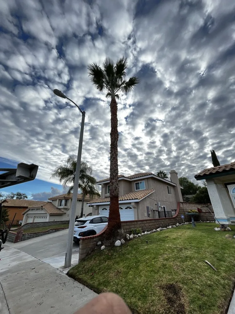 Trusted landscaping services experts serving Sylmar, CA - Eddie’s Landscaping And Tree Service