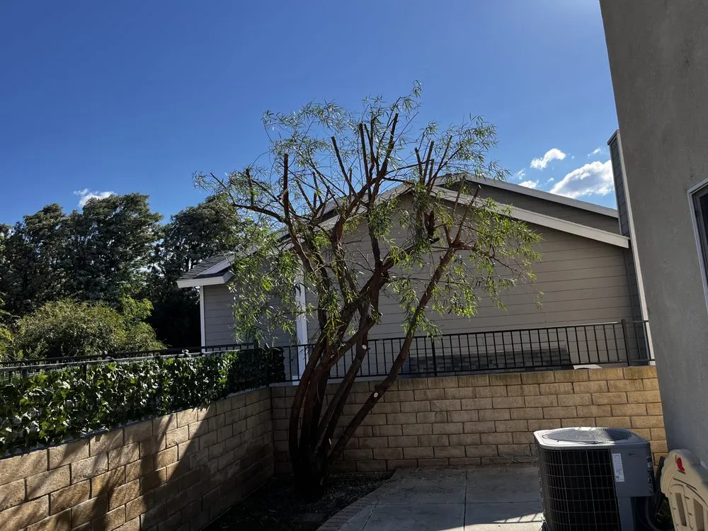 Top-rated yard maintenance experts serving Sylmar, CA - Eddie’s Landscaping And Tree Service