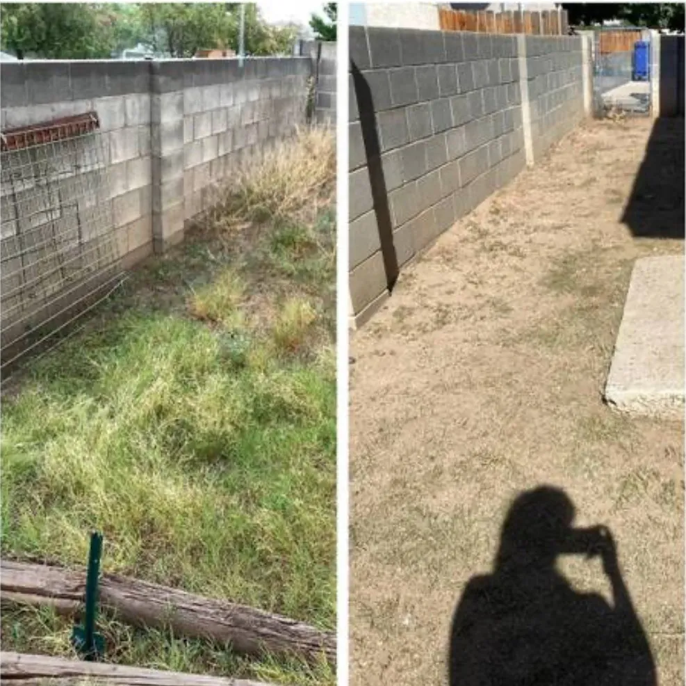 Top-rated lawn mowing service experts serving Albuquerque, NM - Eddies Landscaping Maintenance