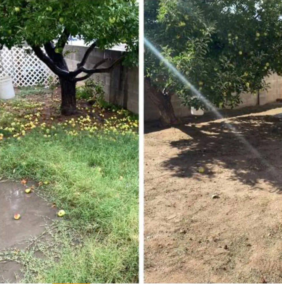 Affordable lawn mowing service in Albuquerque, NM - Eddies Landscaping Maintenance